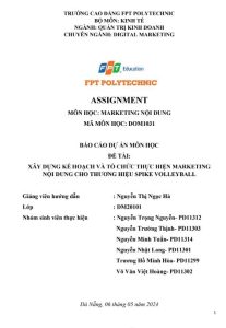 Marketing Nội Dung SPIKE VOLLEYBALL